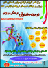 برگزاری دومین جشنواره فرهنگی و ورزشی مرکزعلمی کاربردی اریکه پرسپولیس ویژه دانشجویان  کارکنان و مدرسان
