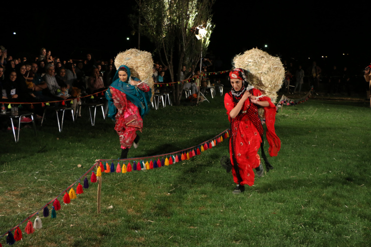 نتایج ۳ رشته بومی و محلی مشخص شد